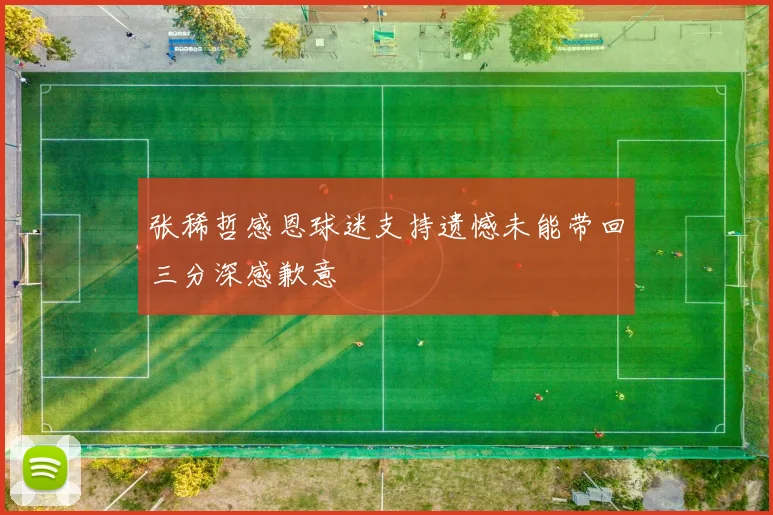 张稀哲感恩球迷支持遗憾未能带回三分深感歉意